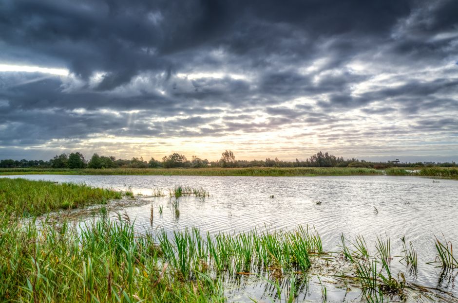 Serene marsh scene at sunrise with calm water and dramatic sky.